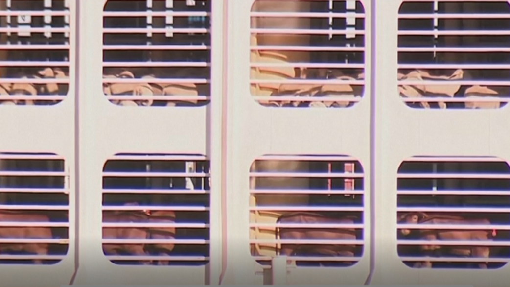 ganado-atrapado ganado-atrapado