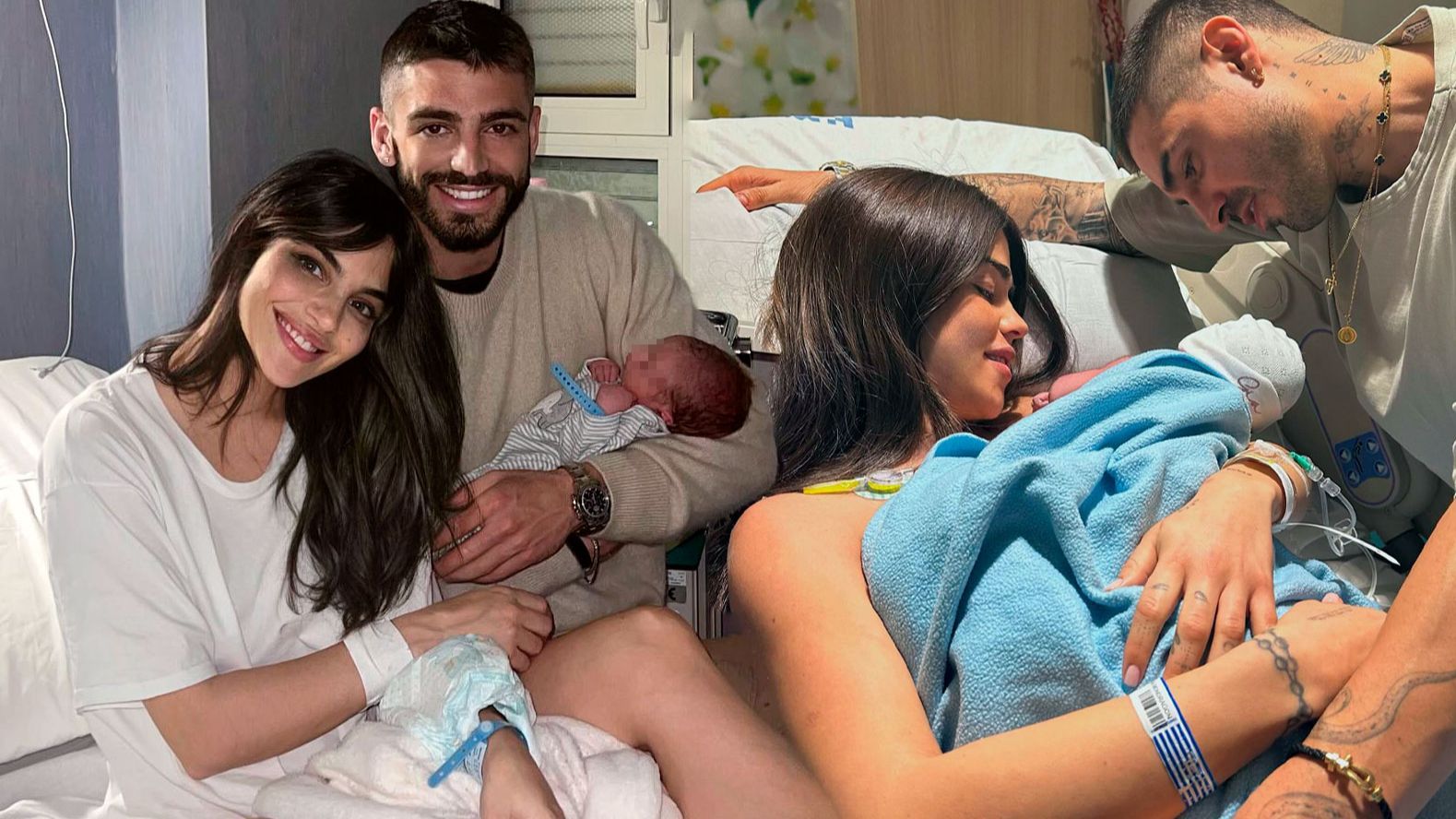 violeta nicole mazzocato