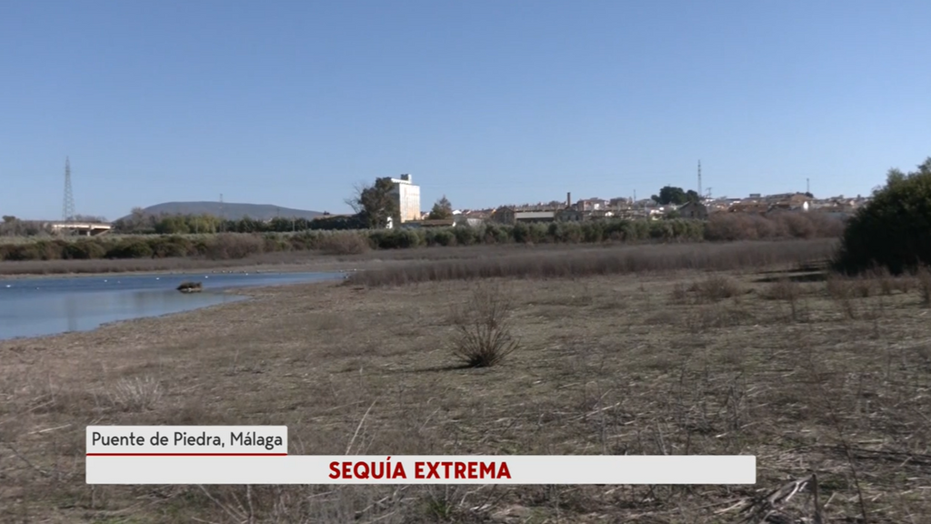 La sequía asola Andalucía y Cataluña: las restricciones de agua afectan de lleno al campo