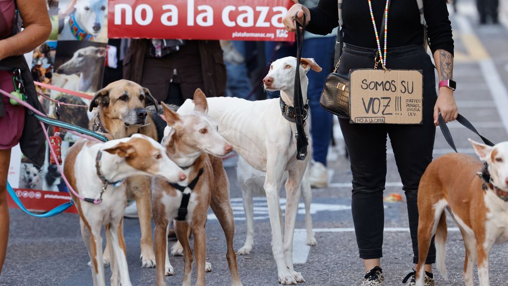 Manifestaciones contra la caza, especialmente con perros, por toda España: "Basta ya"