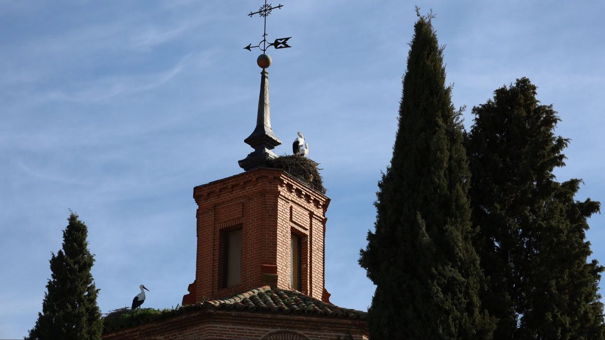 La ruta de las cigüeñas vuelve a Alcalá de Henares para celebrar San Blas