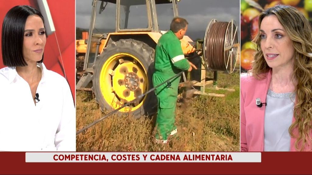 ¿Cuáles son las principales reivindicaciones de los agricultores españoles?
