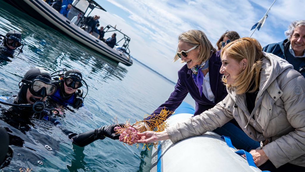Celia Calabuig y Salomé Pradas acercan las gorgonias a buzos de la Fundación Oceanogràfic