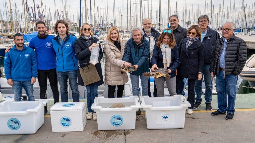 Miembros del Oceanogràfic y de la conselleria han participado en la suelta