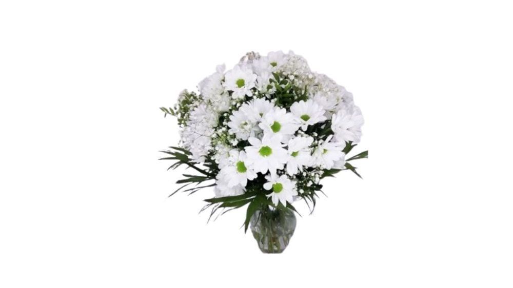 Ramo sencillo de margaritas blancas