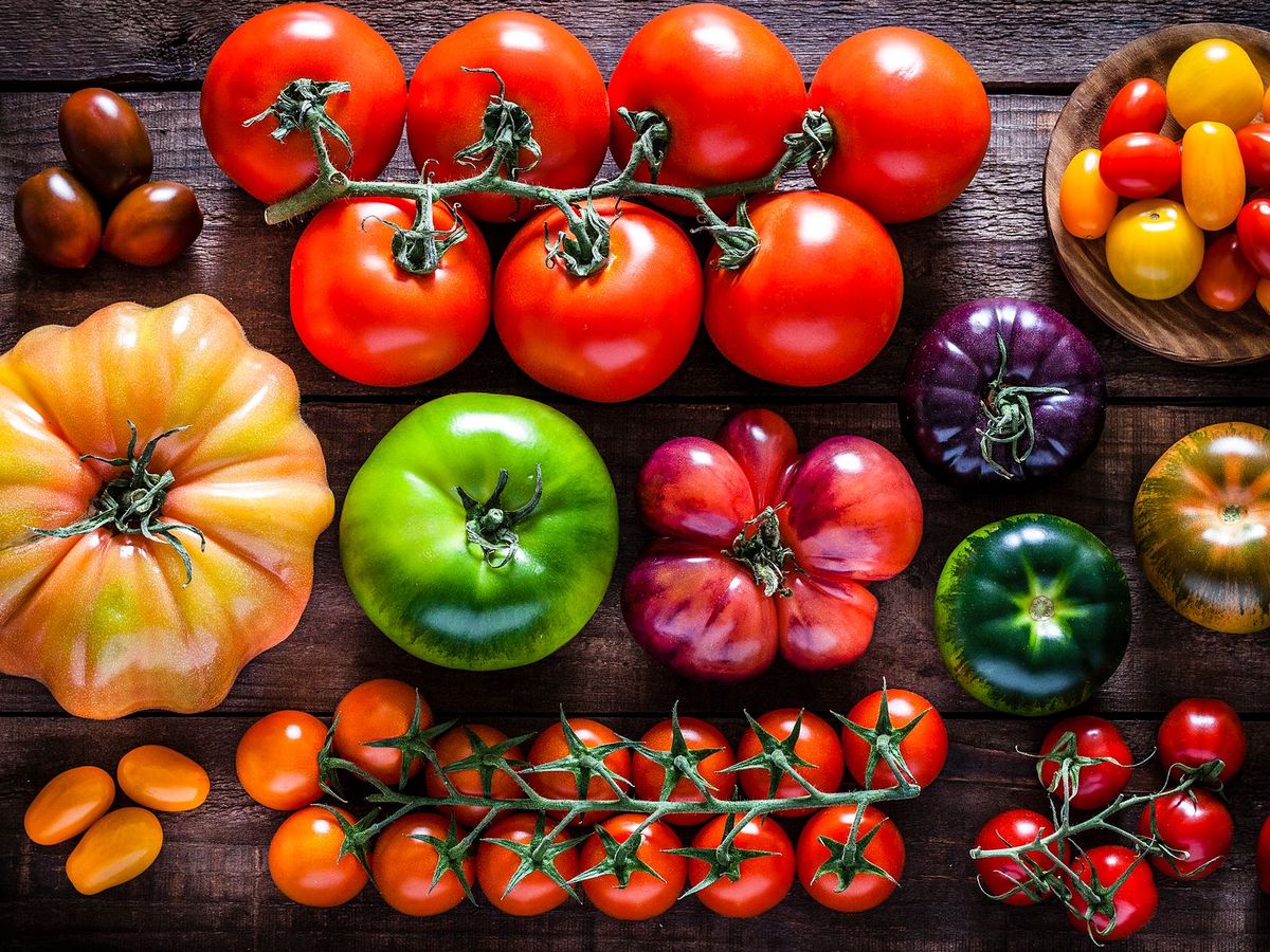 El tomate, la joya reventona que llegó de América - Uppers