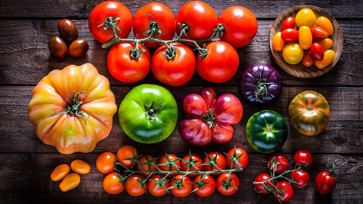 Hay más de 10.000 variedades de tomate