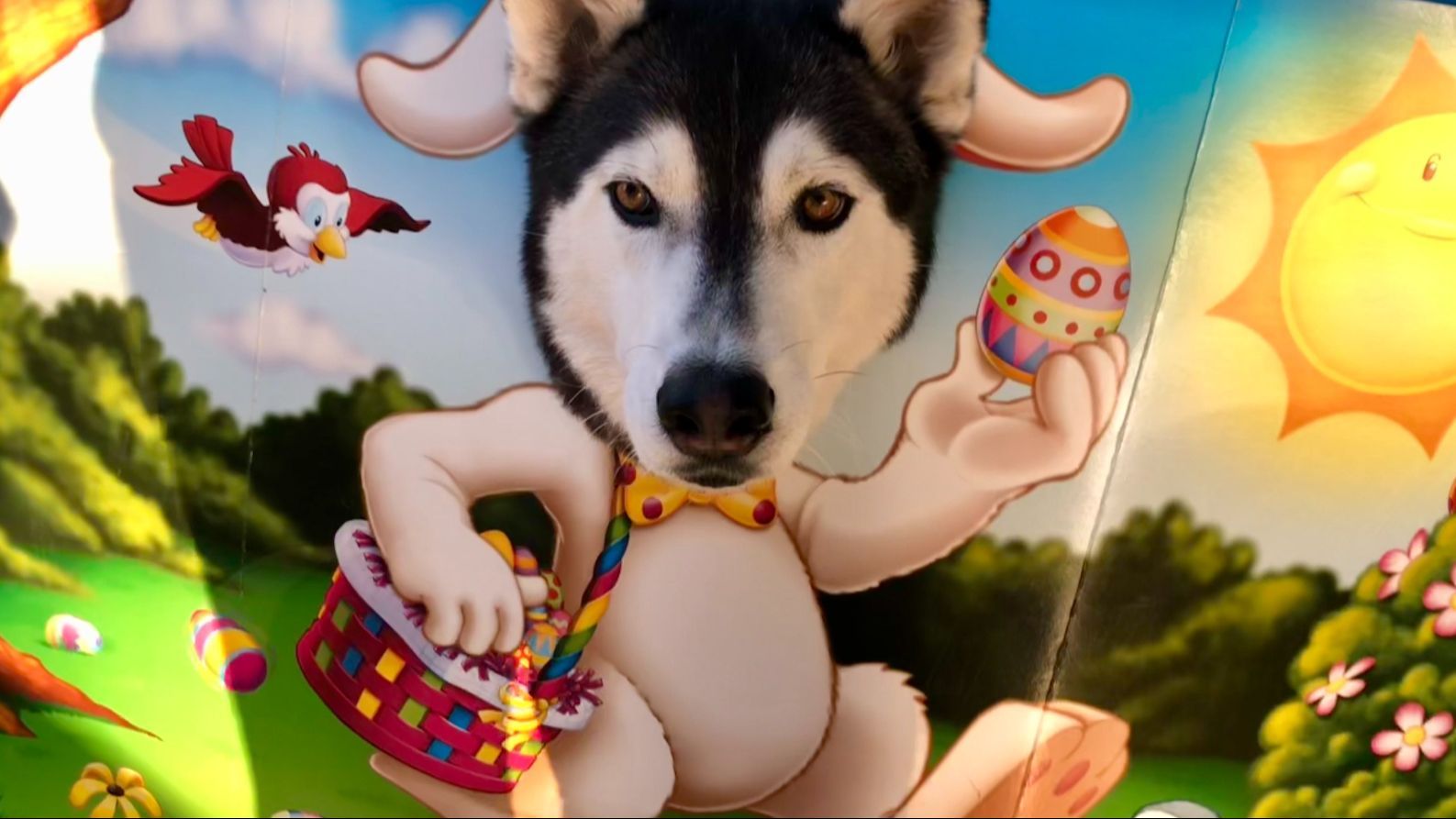 FotoJet   2024 02 09T132644.408