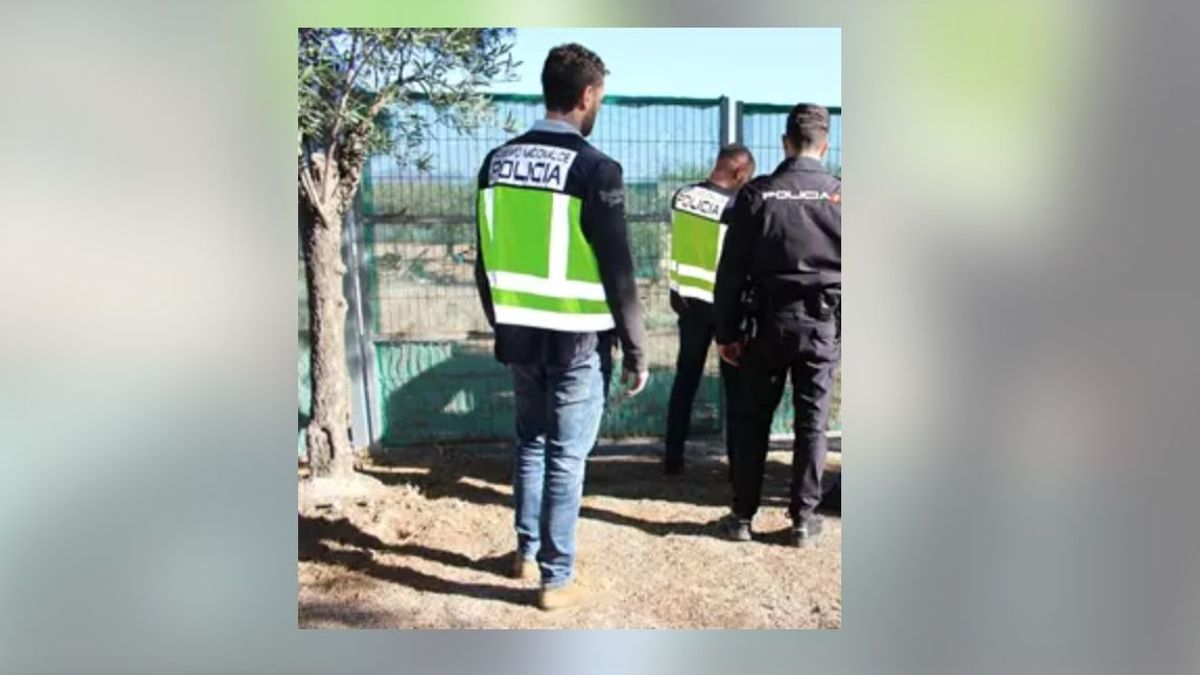 Agentes en un operativo en el campo de Valencia