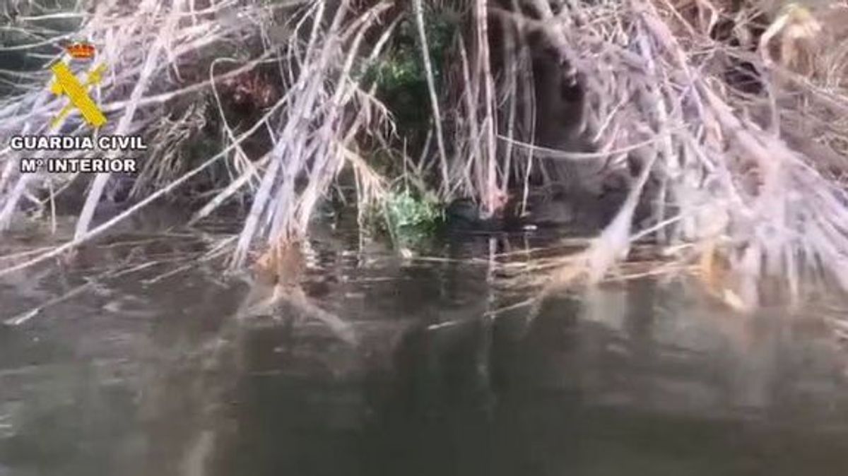 Lugar donde estaba el cadáver del desaparecido en Benicolet (Valencia)