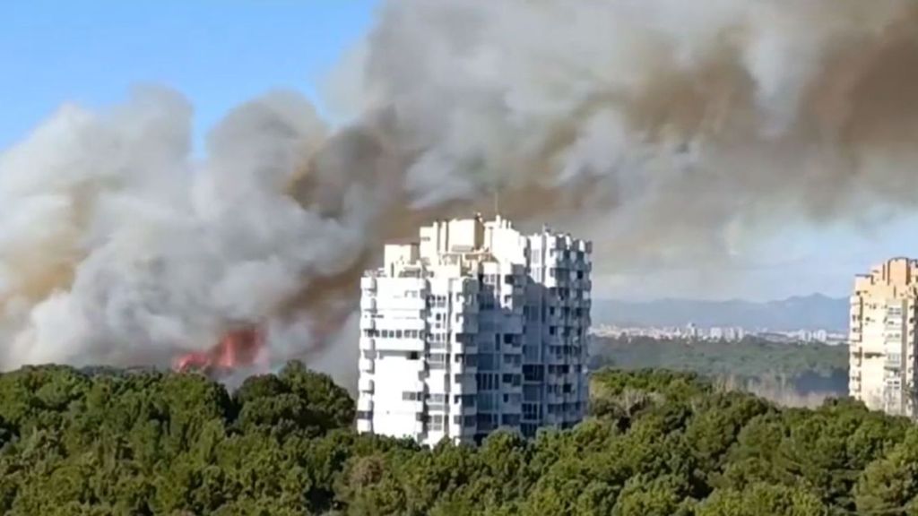El incendio forestal en El Saler (Valencia): evacúan cinco edificios y los bomberos piden cautela