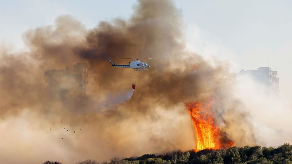 El incendio de El Saler, en Valencia, estabilizado: se sospecha que el fuego ha sido intencionado