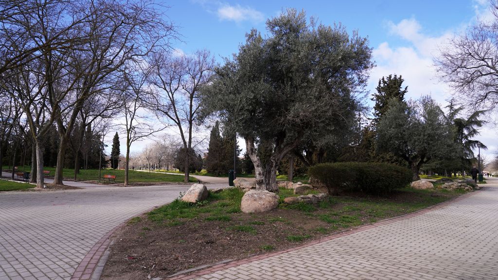 Finalizan las obras del parque de Las Cruces, un pulmón verde que suma 268 nuevos árboles