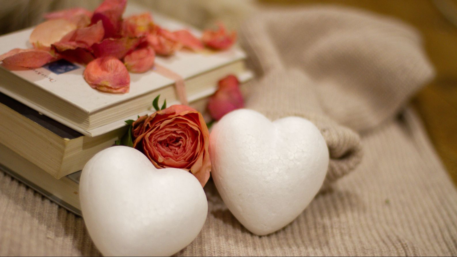 San Valentín, 14 de febrero, Día del amor, Libros, San Valentín: cinco  libros para regalar en esta fecha especial nndc, VIU
