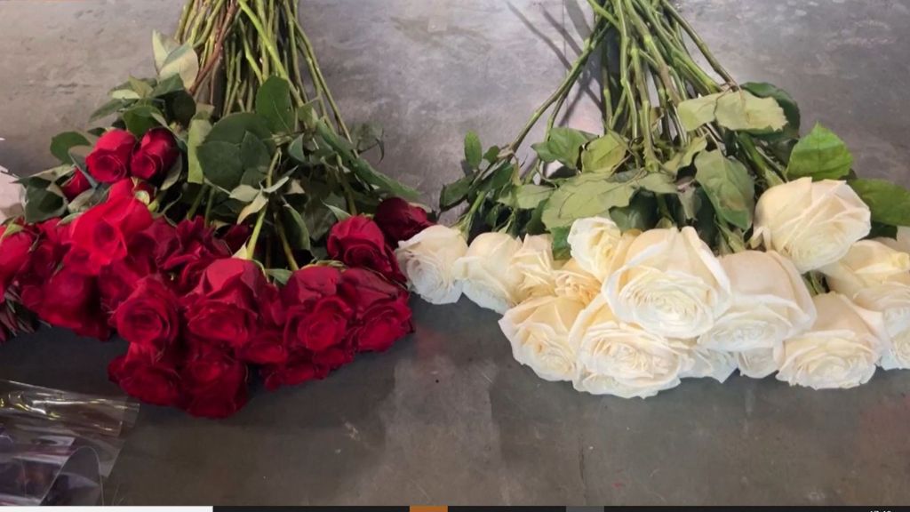 San Valentín y el negocio de las flores: ¿de dónde proceden las rosas que se venden en España?