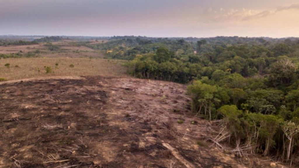 La Amazonía, el pulmón del planeta, se acerca a un punto de no retorno