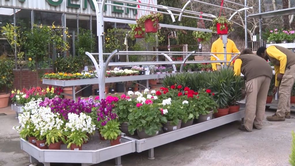La sequía llega a las floristerías: la gente ya no compra flores porque no puede regarlas