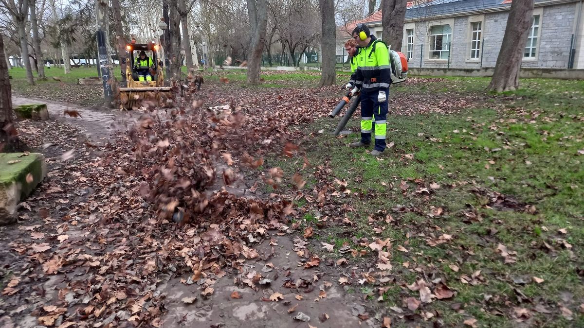 Tres operarios trabajan en la retirada de hojas de una zona ajardinada de Vitoria