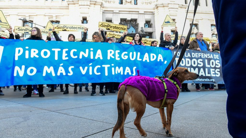 Movilizaciones contra la polémica mascletà de Madrid: "Un chanchullo de Almeida"