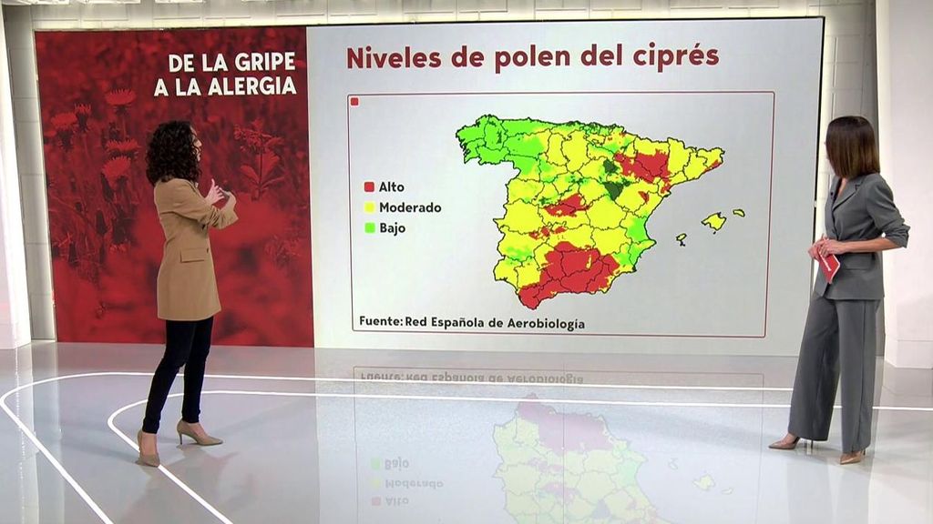 La alergia y su auge por el cambio climático: se adelanta un mes la polinización