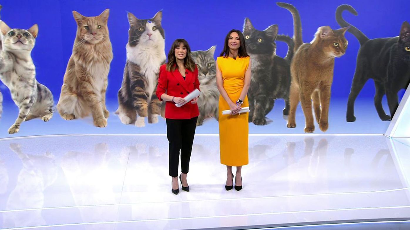 2024 02 20 0755 REC Telecinco REC.ts.0x0