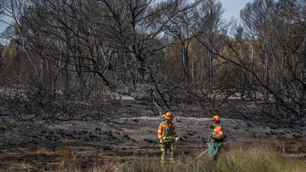 El principal sospechoso ya estuvo acusado antes de provocar al menos tres incendios en el parque natural de la Albufera