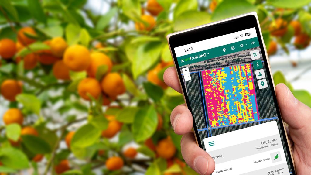 Sensores inteligentes para predecir la cosecha de fruta