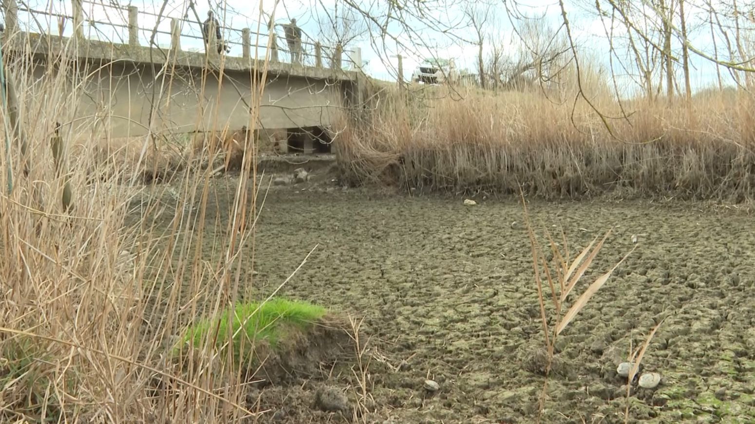 Los Aiguamolls del Empordà, con 300 hectáreas secas