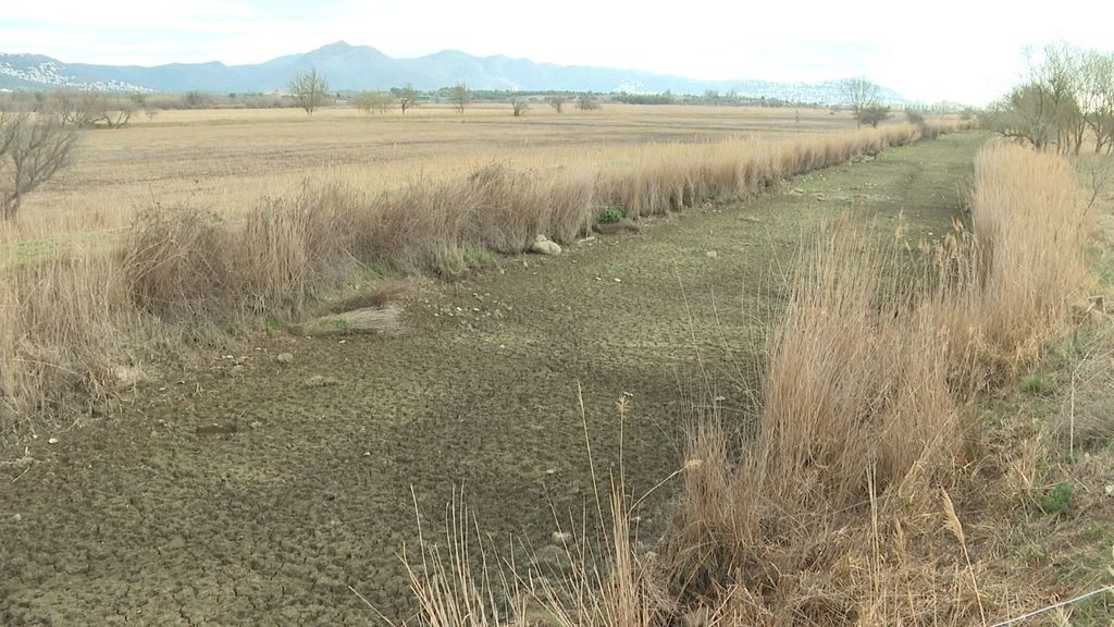 Los Aiguamolls del Empordà, con 300 hectáreas secas