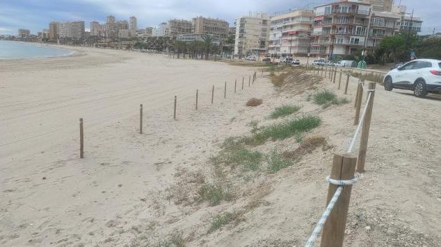 Una de las zonas dunares protegidas en El Campello