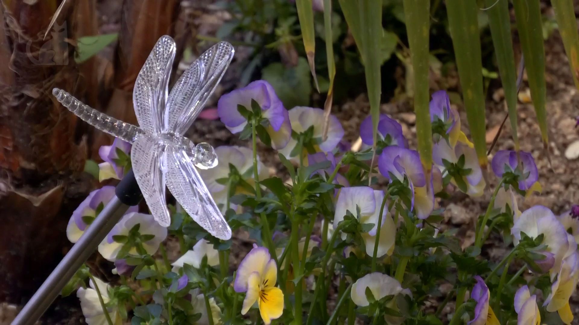 Moleskine del gato - GH DÚO - 36