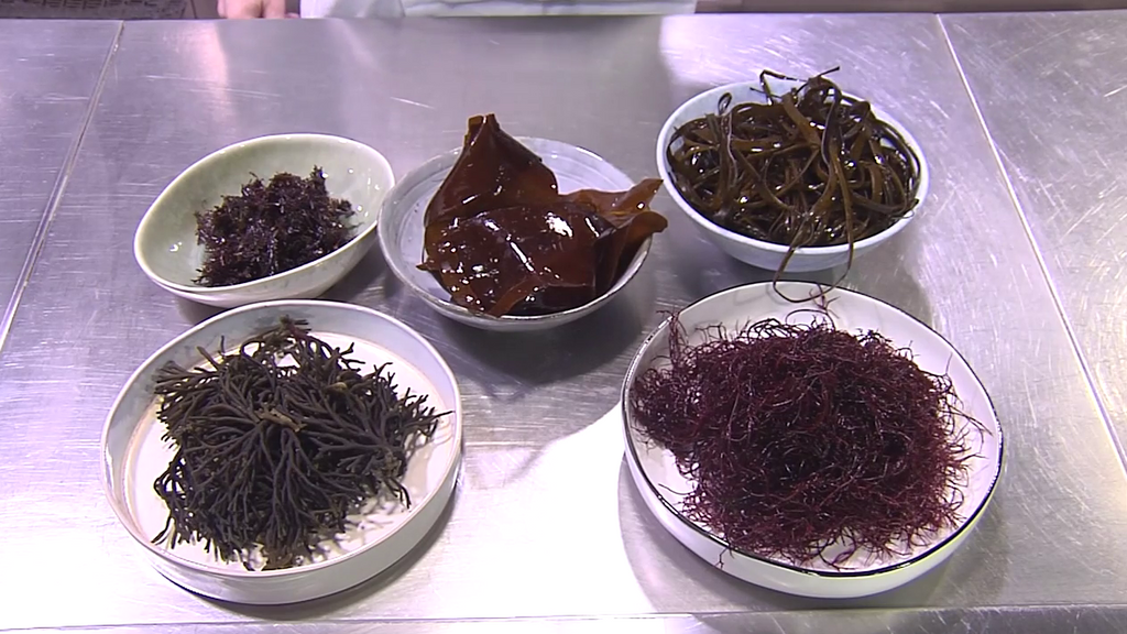 El reto de las algas, su adaptación a la gastronomía más popular