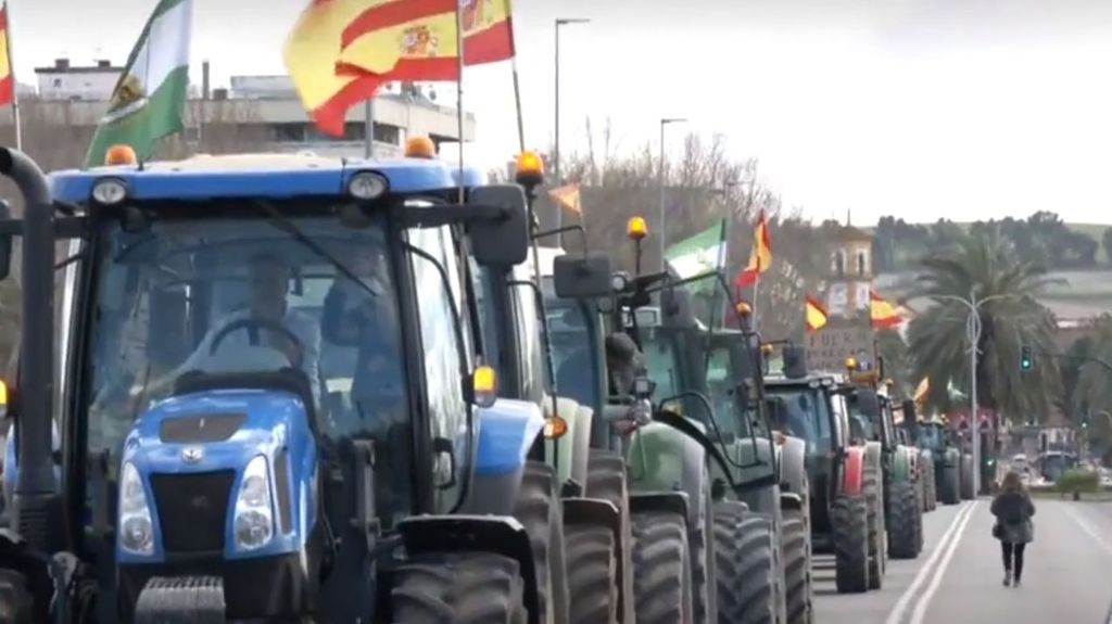 Protesta de agricultores y ganaderos con tractores en Córdoba