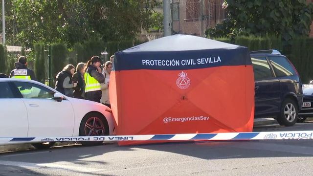 Dos Detenidos Como Presuntos Autores Del Apuñalamiento Mortal Del Joven En Sevilla 