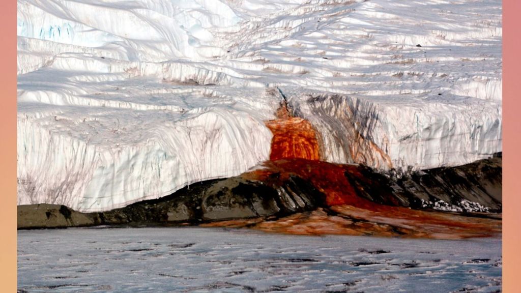 ¿Por qué hay unas cataratas de sangre en la Antártida? Informativos Telecinco Tiempo de Flora 61