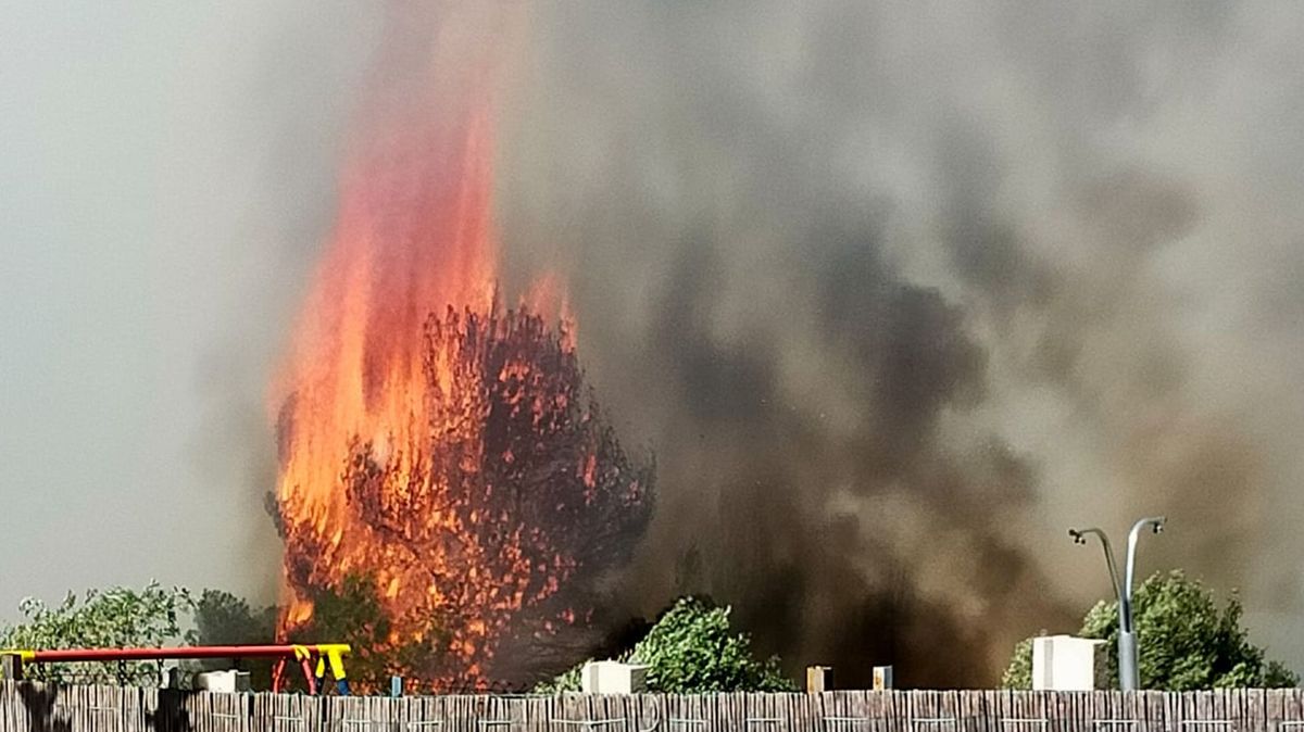 Árbol en llamas junto a una vivienda en el incendio de Real de Montroy