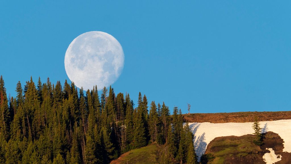 El 25 de marzo por la mañana la luna llena estará en su máximo apogeo. FUENTE: Cordonpress