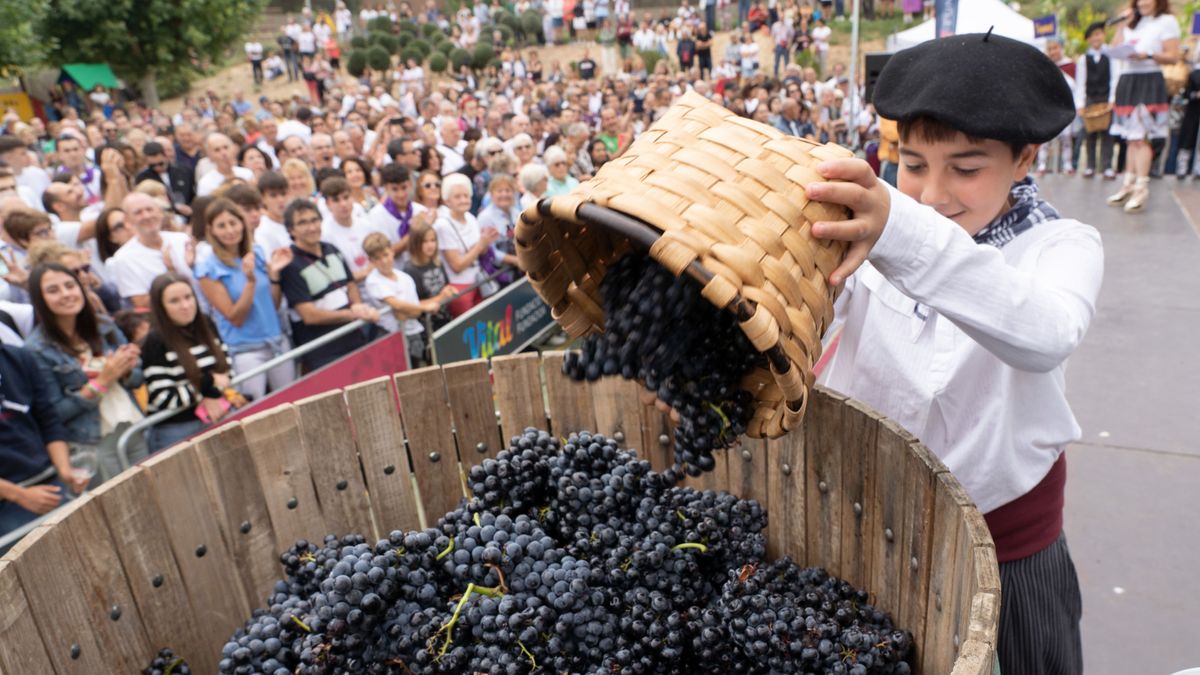 Un niño coloca uvas para su pisado en madera en la Fiesta de la Vendimia de Rioja Alavesa