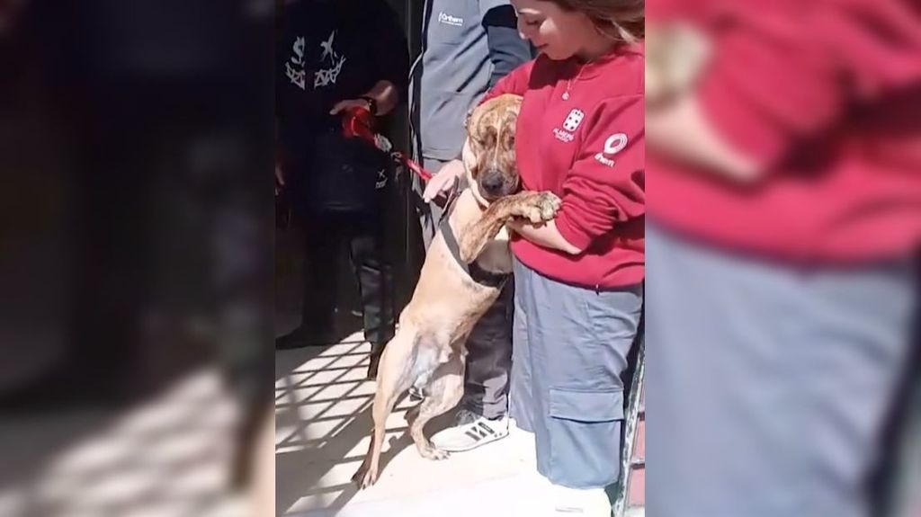 Así se ha despedido un perro de una trabajadora del zoo sanitario de Almería