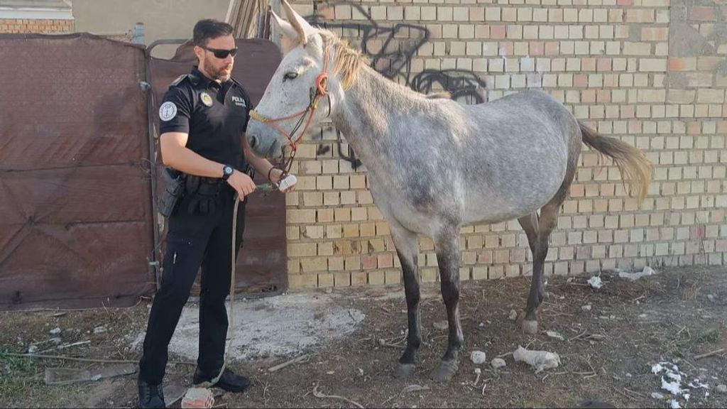 Chipiona se despide de Diego, el policía local que susurraba a los caballos: "Ha dejado una huella"