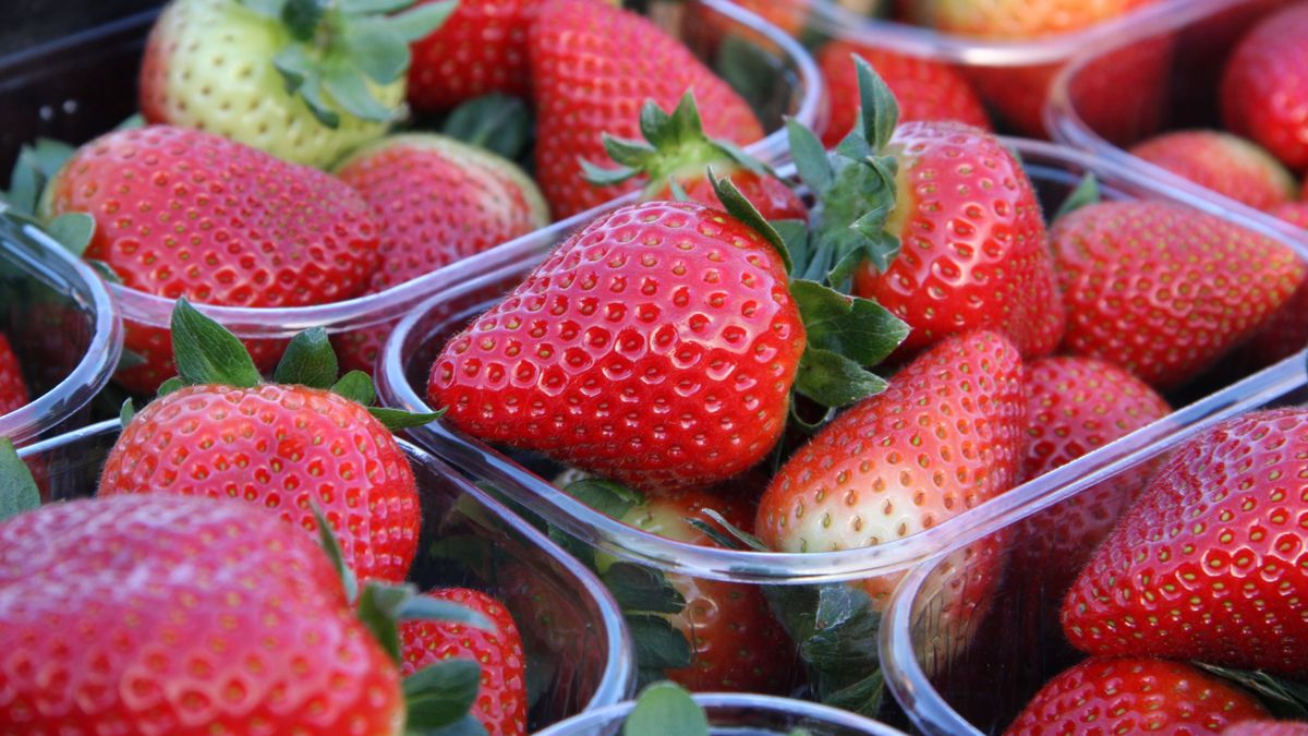 Tarrinas de fresas producidas en Huelva