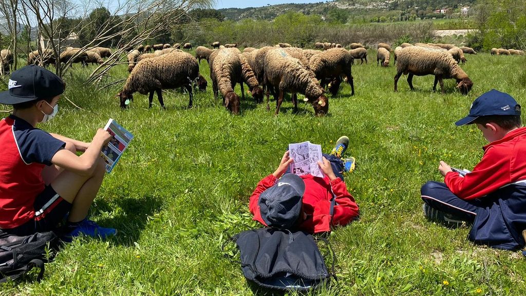 Alumnos con las ovejas autóctonas