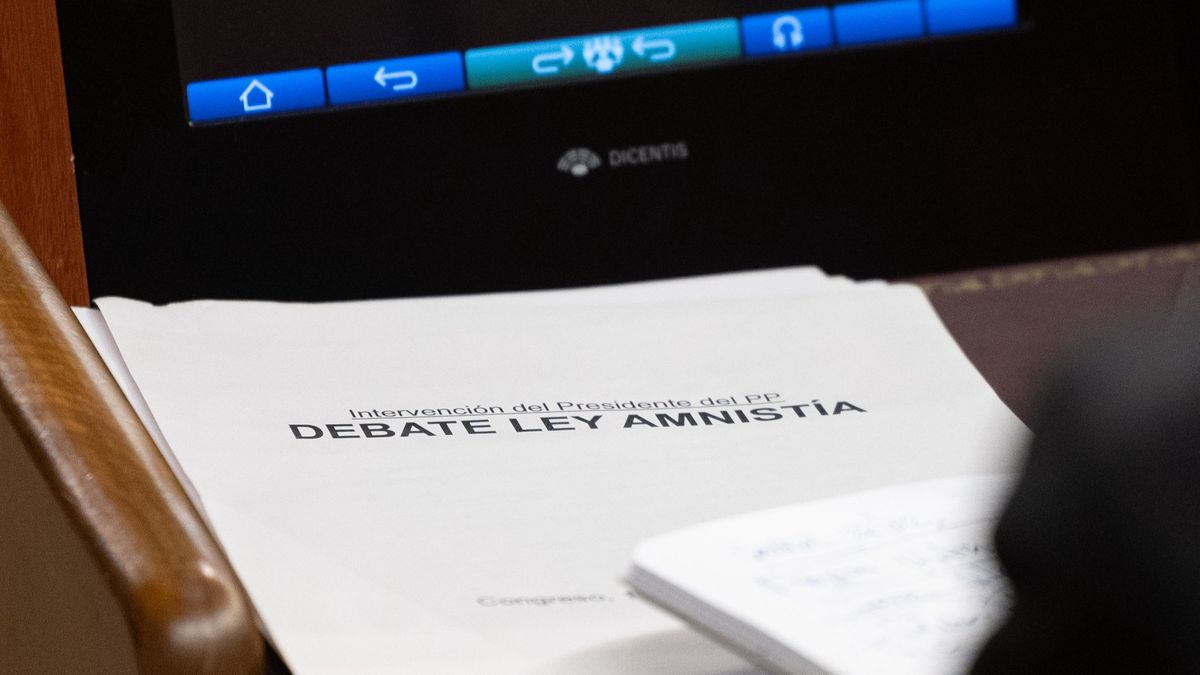 El Congreso aprueba por mayoría absoluta la Ley de Amnistía