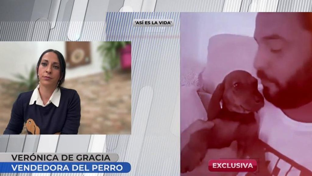 La mujer que vendió el perro de María del Monte a su sobrino: "Vino a recoger el perro 6 días antes del robo"