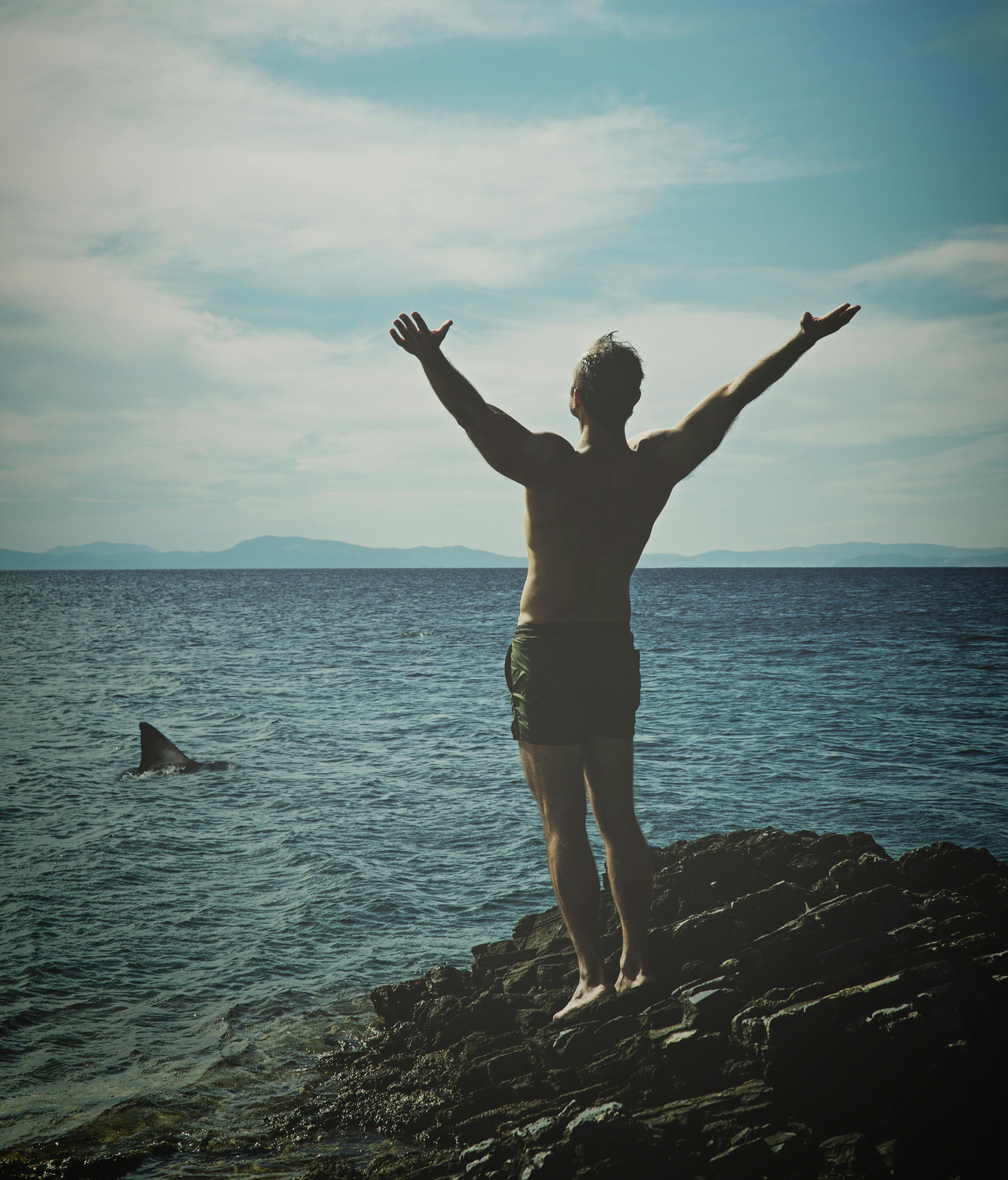 pexels mali maeder 92087