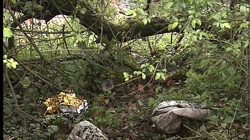 La policía investiga un descuartizamiento en Asturias: los restos podrían ser de un vecino de 70 años