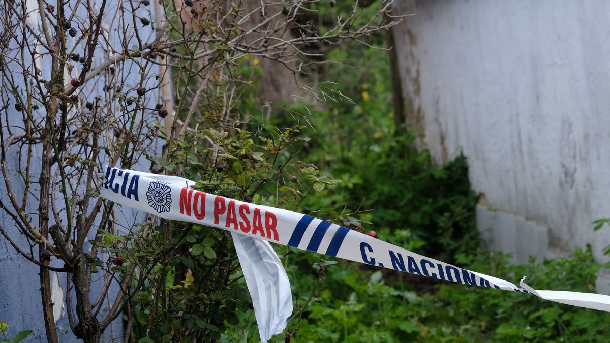 Crimen de La Felguera: el inquilino habría matado a su casero a puñaladas para después descuartizarlo