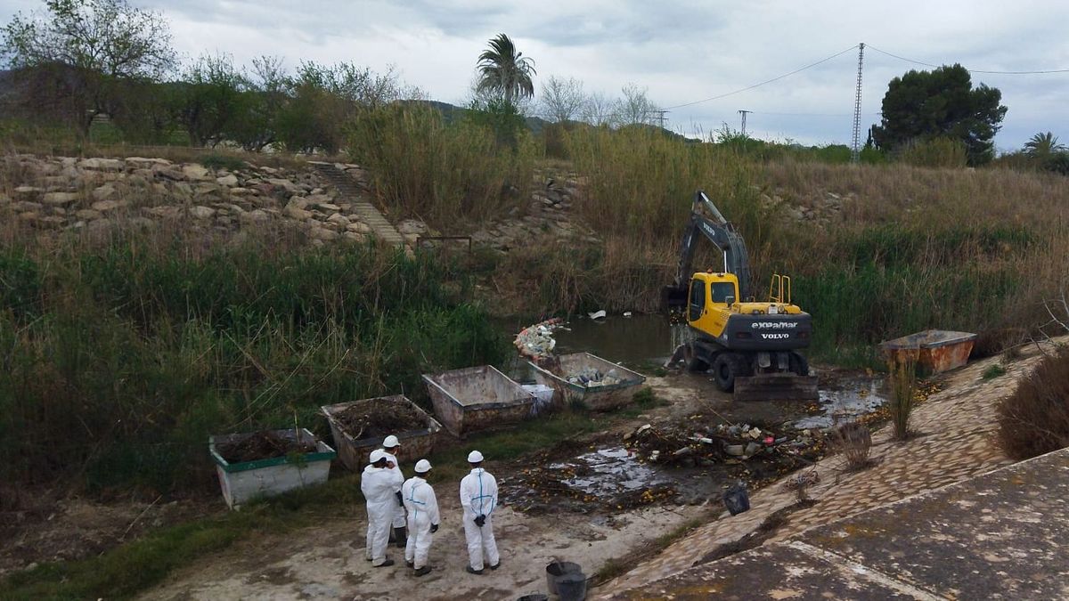 Recogida residuos río Segura