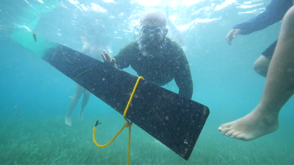 El equipo de 'SV' prueba 'tablón mojado', un juego de trabajo en equipo que requiere equilibrio y resistencia en estado puro