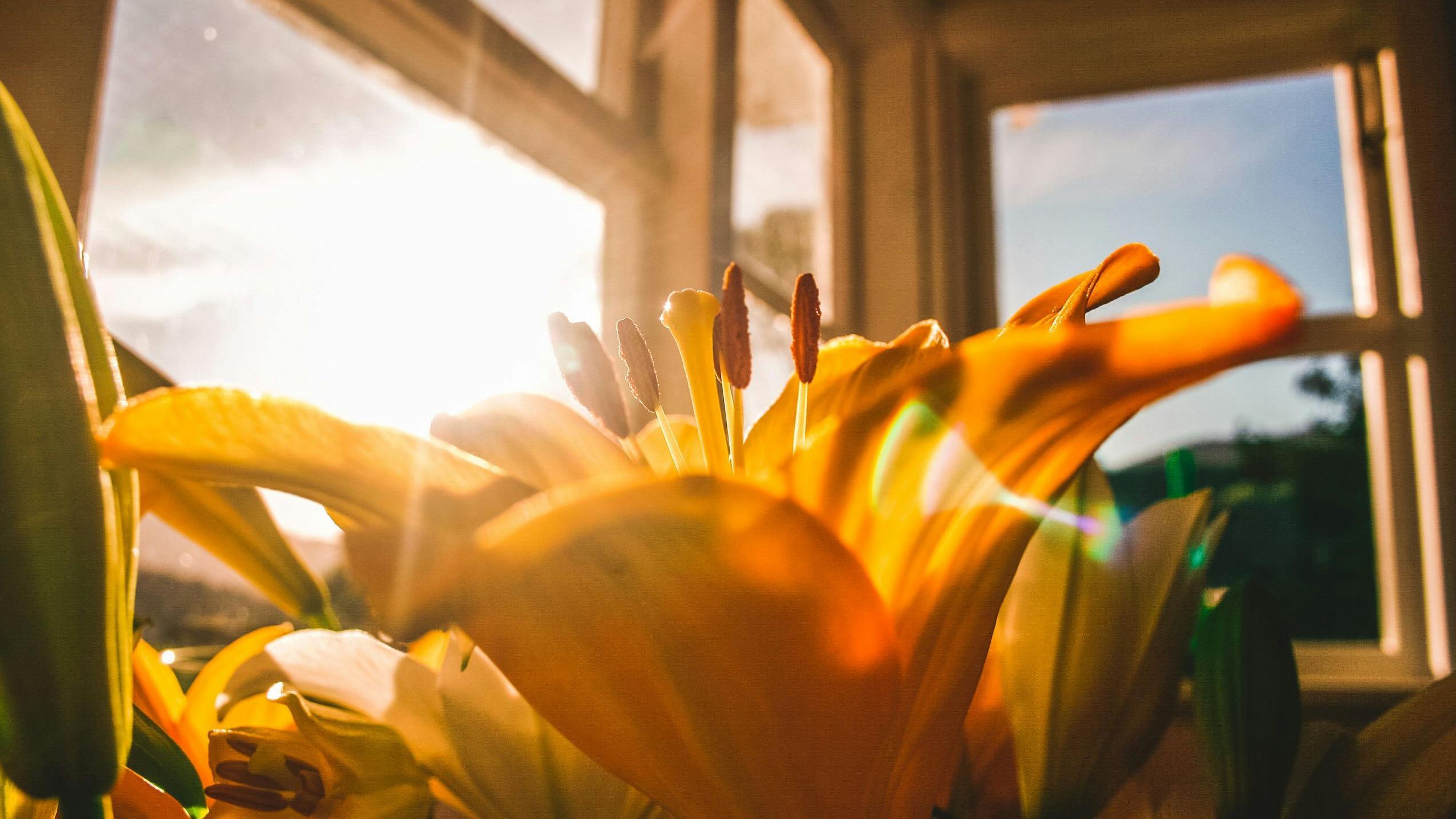 En primavera los días empiezan a ser más largos. FUENTE: Pexels